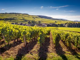 Label Qualité - Le spécialiste des voyages de groupes de seniors