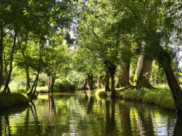 Label Qualité - Le spécialiste des voyages de groupes de seniors