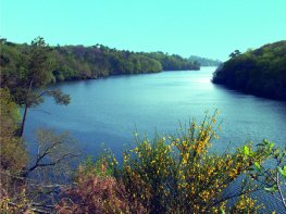Le spécialiste des voyages en groupe pour les seniors