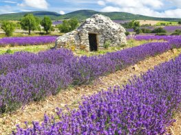 Le spécialiste des voyages en groupe pour les seniors