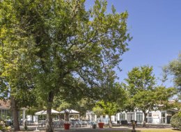 Le spécialiste des voyages en groupe pour les seniors