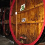 Le spécialiste des voyages en groupe pour les seniors