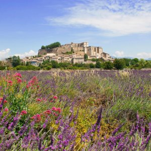 Landscape in Provence  South France