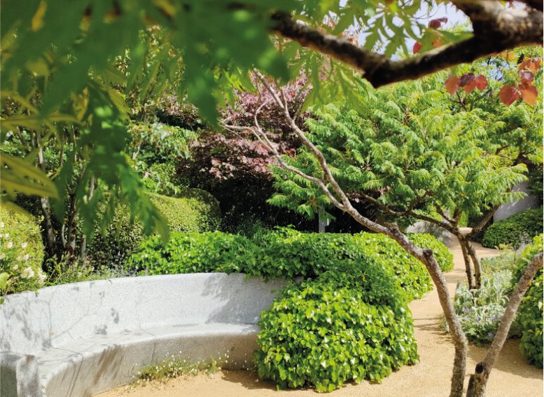 Le spécialiste des voyages en groupe pour les seniors