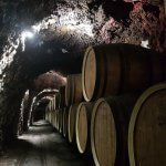 Le spécialiste des voyages en groupe pour les seniors