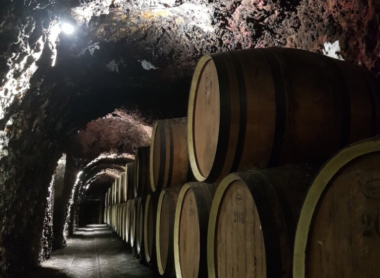 Le spécialiste des voyages en groupe pour les seniors