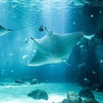 Le spécialiste des voyages en groupe pour les seniors