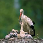 Le spécialiste des voyages en groupe pour les seniors