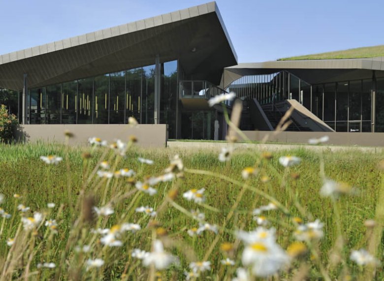 Le spécialiste des voyages en groupe pour les seniors