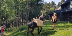 Le spécialiste des voyages en groupe pour les seniors