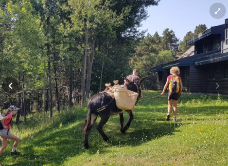 Le spécialiste des voyages en groupe pour les seniors