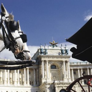 IMG-QXP-2016-AT-Wien-Fiaker-04