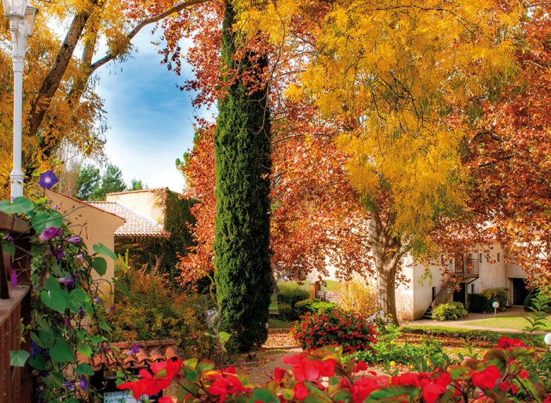 Le spécialiste des voyages en groupe pour les seniors