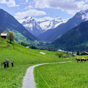 xavier-von-erlach-dRqtiQhH3Ww-unsplash