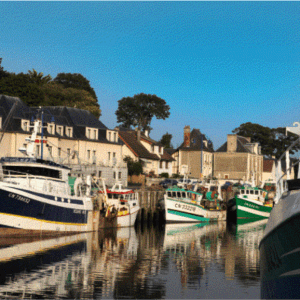 PHOTO REGION