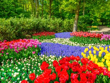 Hollande et au Keukenhof 3 Hollande